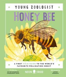 Honey bee (young zoologist)