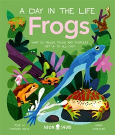 Frogs (a day in the life)