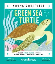 Green sea turtle (young zoologist)