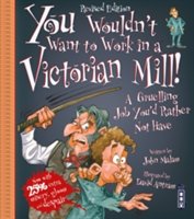 You wouldn't want to work in a Victorian mill! : a gruelling job you'd rather not have