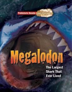 Megaladon : the largest shark that ever lived