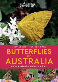 Naturalist's guide to the butterflies of australia