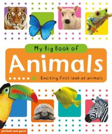 First book of animals