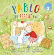 Pablo the rescue cat