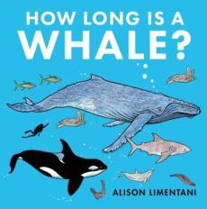 How long is a whale?