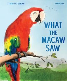 What the macaw saw