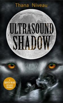 Ultrasound shadow