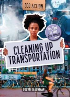 Cleaning up transportation