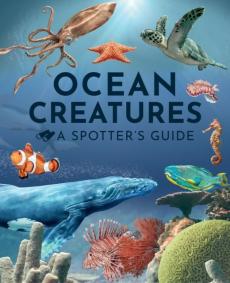 Ocean creatures: a spotter's guide