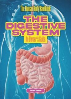 Digestive system