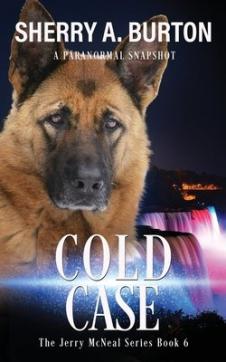 Cold Case