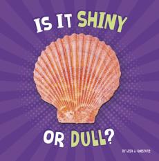 Is It Shiny or Dull?