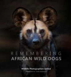 Remembering african wild dogs