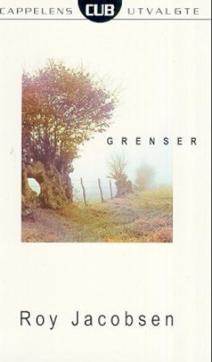 Grenser : roman