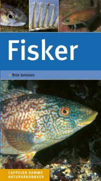 Fisker : enkel og sikker artsbestemmelse