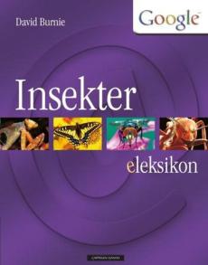 Insekter : eLeksikon