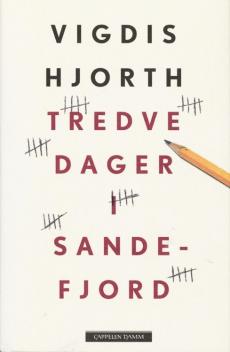 Tredve dager i Sandefjord : roman