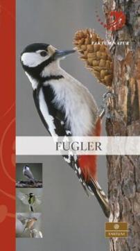 Fugler