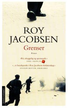 Grenser : roman
