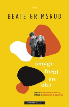 Å smyge forbi en øks : roman