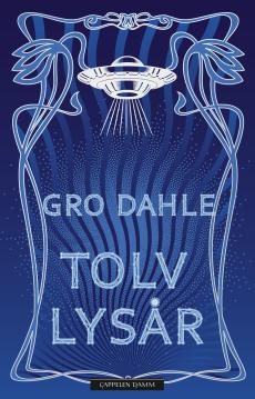 Tolv lysår : roman