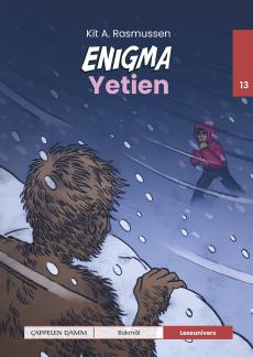 Enigma : Yetien : nivå 13