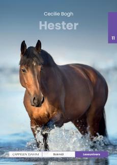 Hester