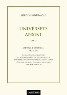 Universets ansikt : Spinoza i globaliseringsdebatten eller barokken i nåtiden : en framstilling av filosofien til Benedikt Spinoza, og hva den utsette