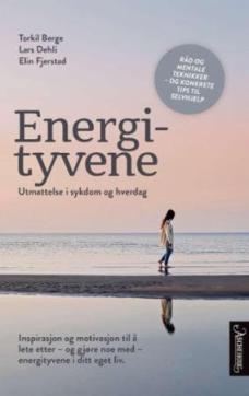 Energityvene : utmattelse i sykdom og hverdag