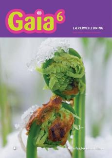 Gaia 6 : Lærerveiledning : naturfag for barnetrinnet