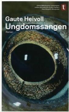Ungdomssangen : roman