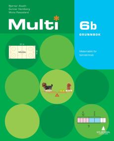 Multi 6b : grunnbok