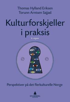 Kulturforskjeller i praksis : perspektiver på det flerkulturelle Norge