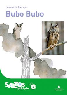 Bubo Bubo : nivå 6