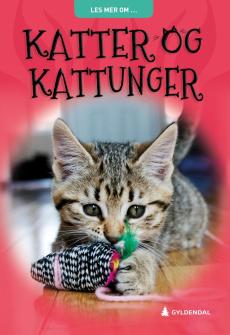 Katter og kattunger