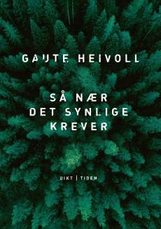 Så nær det synlige krever : dikt