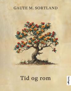 Tid og rom : roman