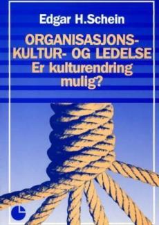 Organisasjonskultur og ledelse : er kulturendring mulig?