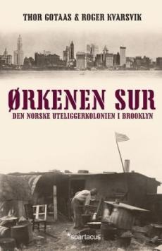 Ørkenen Sur : den norske uteliggerkolonien i Brooklyn