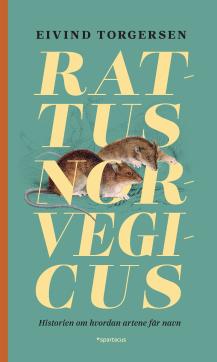 Rattus norvegicus : historien om hvordan artene får navn