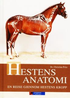 Hestens anatomi : en reise gjennom hestens kropp