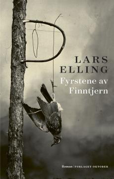 Fyrstene av Finntjern : roman
