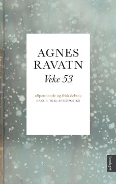 Veke 53 : roman