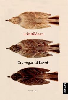 Tre vegar til havet : roman