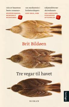 Tre vegar til havet : roman