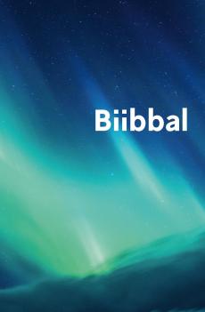 Biibbal : Bassi čála : Boares ja Ođđa testamenta