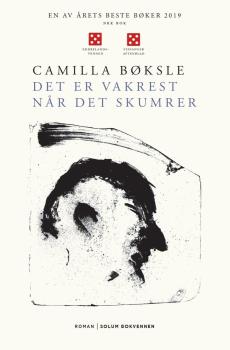 Det er vakrest når det skumrer : roman