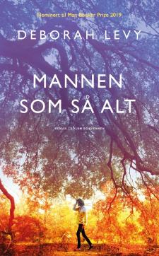 Mannen som så alt : roman