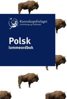 Polsk lommeordbok : polsko-norweski, norwesko-polski