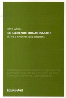 En lærende organisasjon : et mellommenneskelig perspektiv